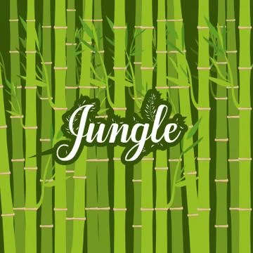 Jungle design 스톡 일러스트