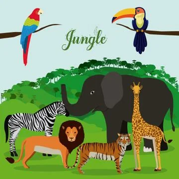 Jungle design 库存插图