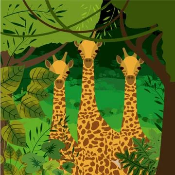 Jungle design イラスト素材