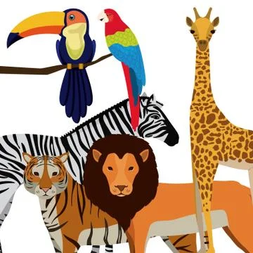 Jungle design Stockillustratie
