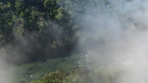 Jungle drone Stock Footage 151697170