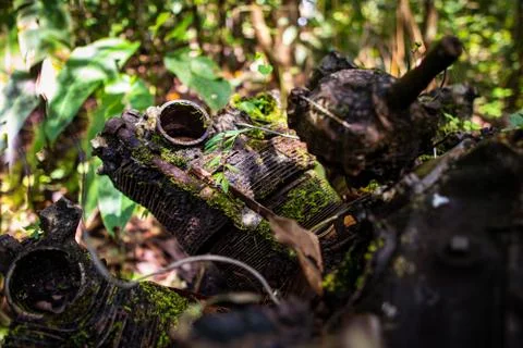 Jungle engine Stock Photos