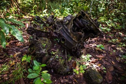 Jungle engine Stock Photos