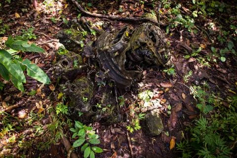 Jungle engine Stock Photos