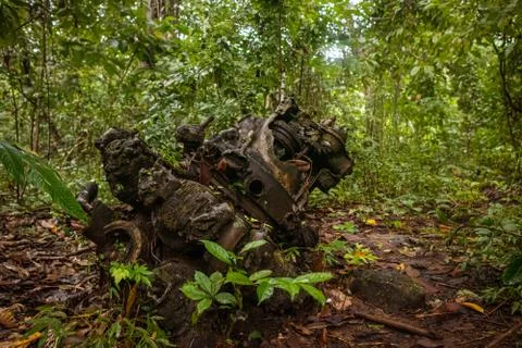 Jungle engine Stock Photos