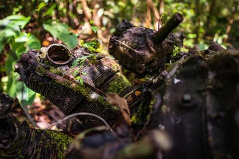 Jungle engine Stock Photos