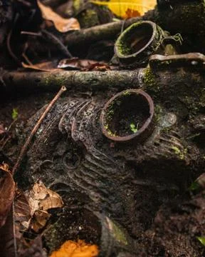 Jungle engine Stock Photos