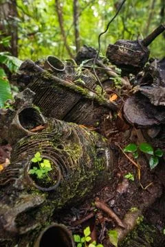 Jungle engine Stock Photos