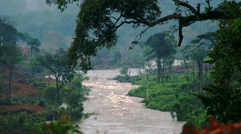 Jungle of Equatorial Guinea with lake Stock Footage 50686460