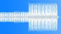 Jungle Expedition, discovering the forest Stock Music