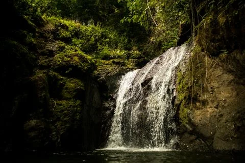 Jungle Falls Stock Photos