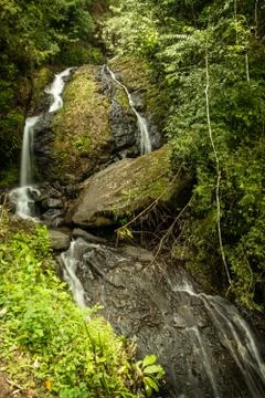 Jungle Falls Stock Photos