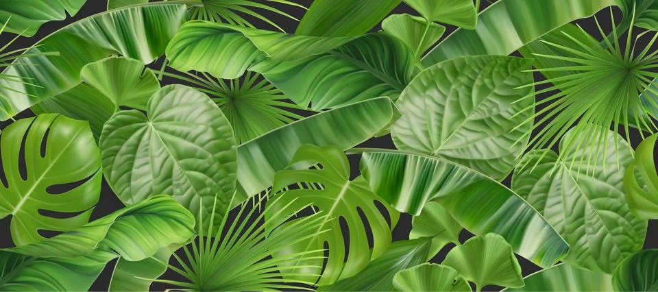 Jungle foliage seamless pattern, 3d vector realistic background Stock Illustration
