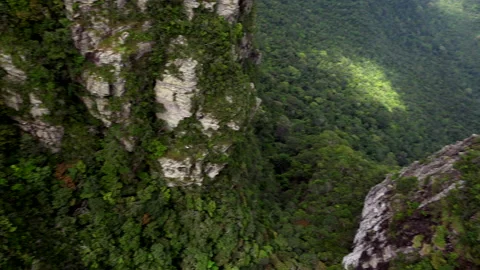 Jungle Stock Footage 151917652