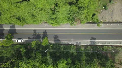 Jungle Stock-Footage 221331147