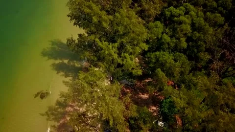 Jungle Stock Footage 261260586