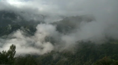 Jungle forest clouds 스톡 동영상 485342