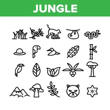 Jungle Forest Collection Elements Icons Set Vector Illustrazione stock