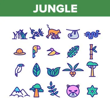Jungle Forest Collection Elements Icons Set Vector イラスト素材