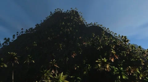 Jungle Forest (HD) Видео 7478501