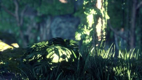 Jungle forest trees in deep fog Illustrazione stock