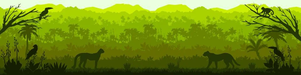 Jungle forest vector silhouette, green tropical nature background Stock Illustration