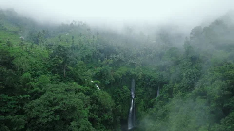 Jungle forest with waterfall covered with clouds and fog, dramatic tropical view Stock Footage 241403231