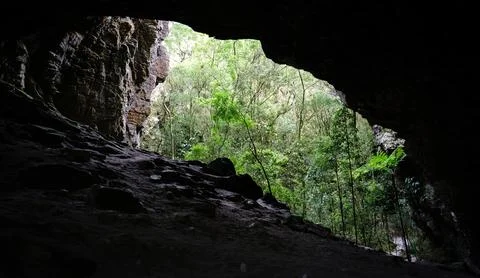 Jungle-framed view from inside a cave Stock Photos