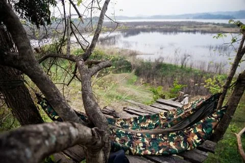 A jungle hammock hangs between trees on the wooden scaffold platform Stock Photos