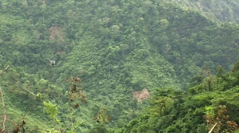 Jungle Helicopter Flybye 01 Stock Footage 598223