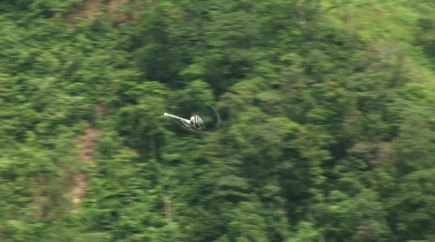 Jungle Helicopter Flybye 03 Stock Footage 598178