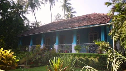 Jungle house Stock Footage 147554513