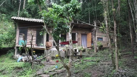 Jungle House Stock Footage 160136874