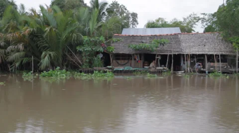 Jungle Houses Stock Footage 32274744