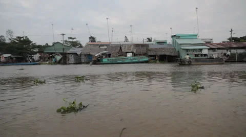 Jungle Houses Stock Footage 32274759