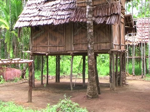 Jungle Hut Stock Footage 3619000