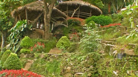 Jungle Huts Video stock 11238467