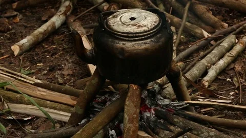Jungle in Jambi Stock Footage 84253298