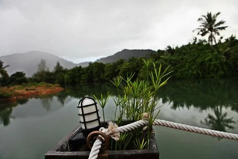 Jungle lake Stock Photos