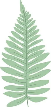Jungle leaf plant. Vector exotic green leaves Stock Illustration