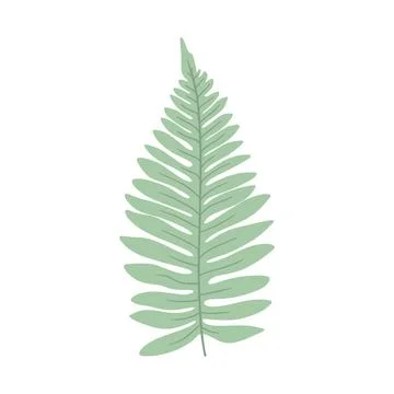 Jungle leaf plant. Vector exotic green leaves Stock Illustration