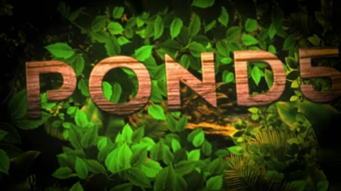 Jungle Logo Intro V2 Stock After Effects