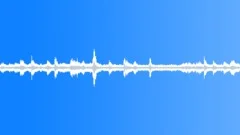 Jungle loop Sound Effect