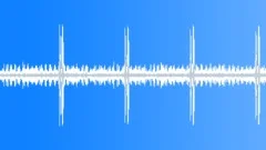 Jungle loopSound Effect