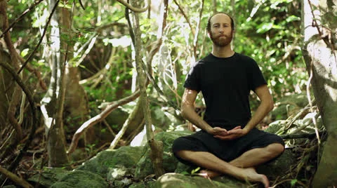 Jungle Meditation Video stock 25943544