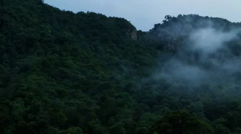 Jungle misty time-lapse Stock Footage
