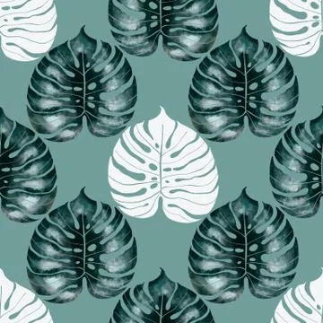 Jungle monstera leaf seamless pattern Stock Illustration