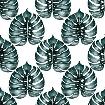 Jungle monstera leaf seamless pattern Stock Illustration