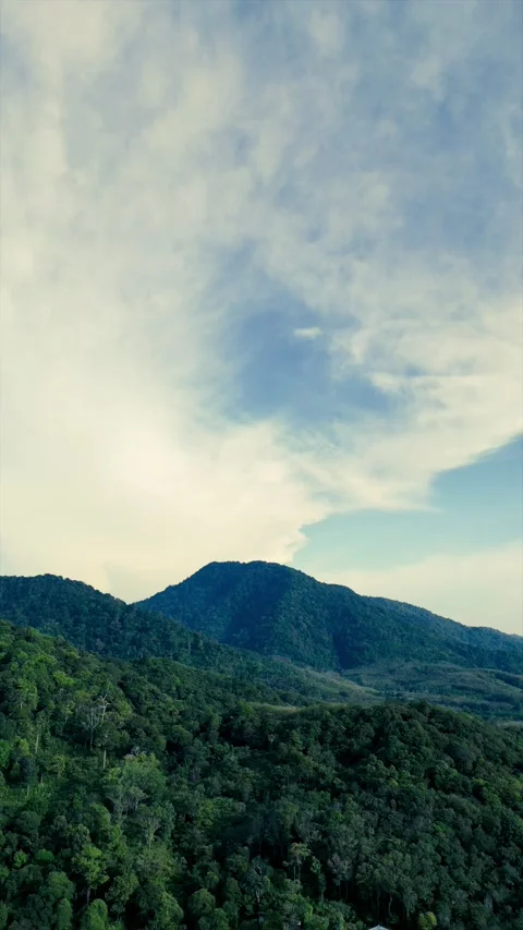 Jungle mountain Stock Footage 231134895