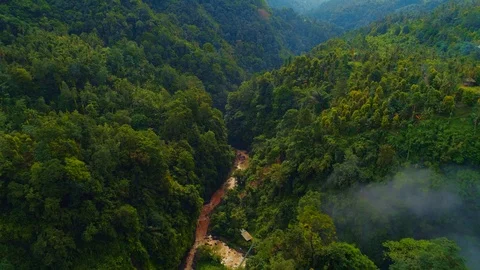 Jungle in a mountain gorge 2 Stock Footage 121322860